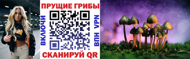 Галлюциногенные грибы Cubensis  купить наркотики цена  Старый Оскол 