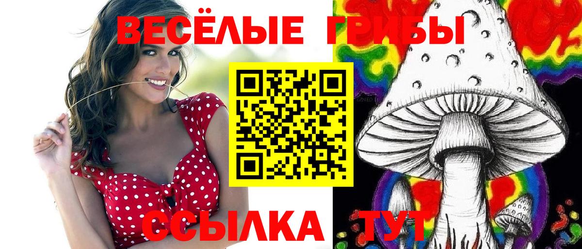 Галлюциногенные грибы MAGIC MUSHROOMS  Вход с VPN  Старый Оскол 