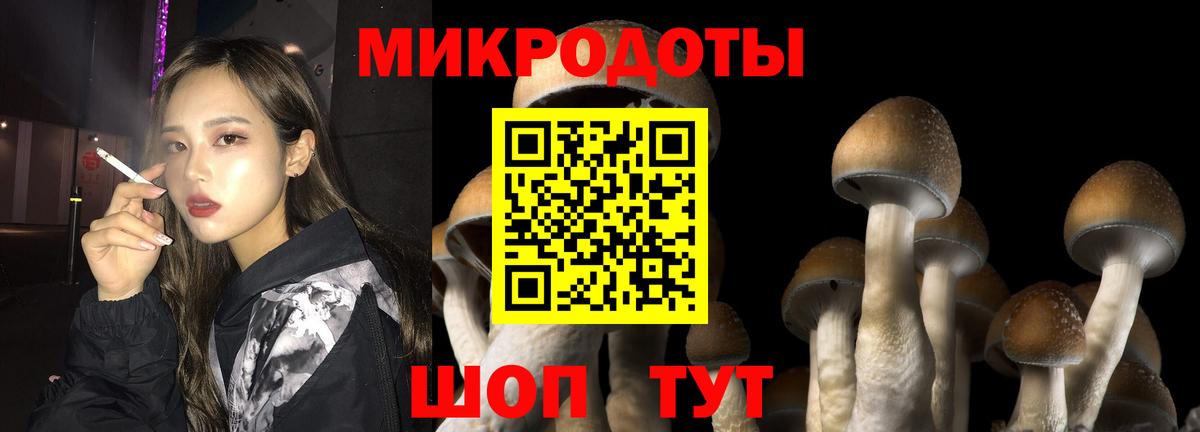 Галлюциногенные грибы Psilocybe Старый Оскол